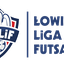 Łowicka Liga Futsalu