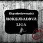 BHBL Bratislavská hokejbalová liga