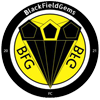 Blackfield Gems