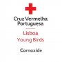 Young Birds Carnaxide