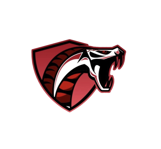 CF O Portuense