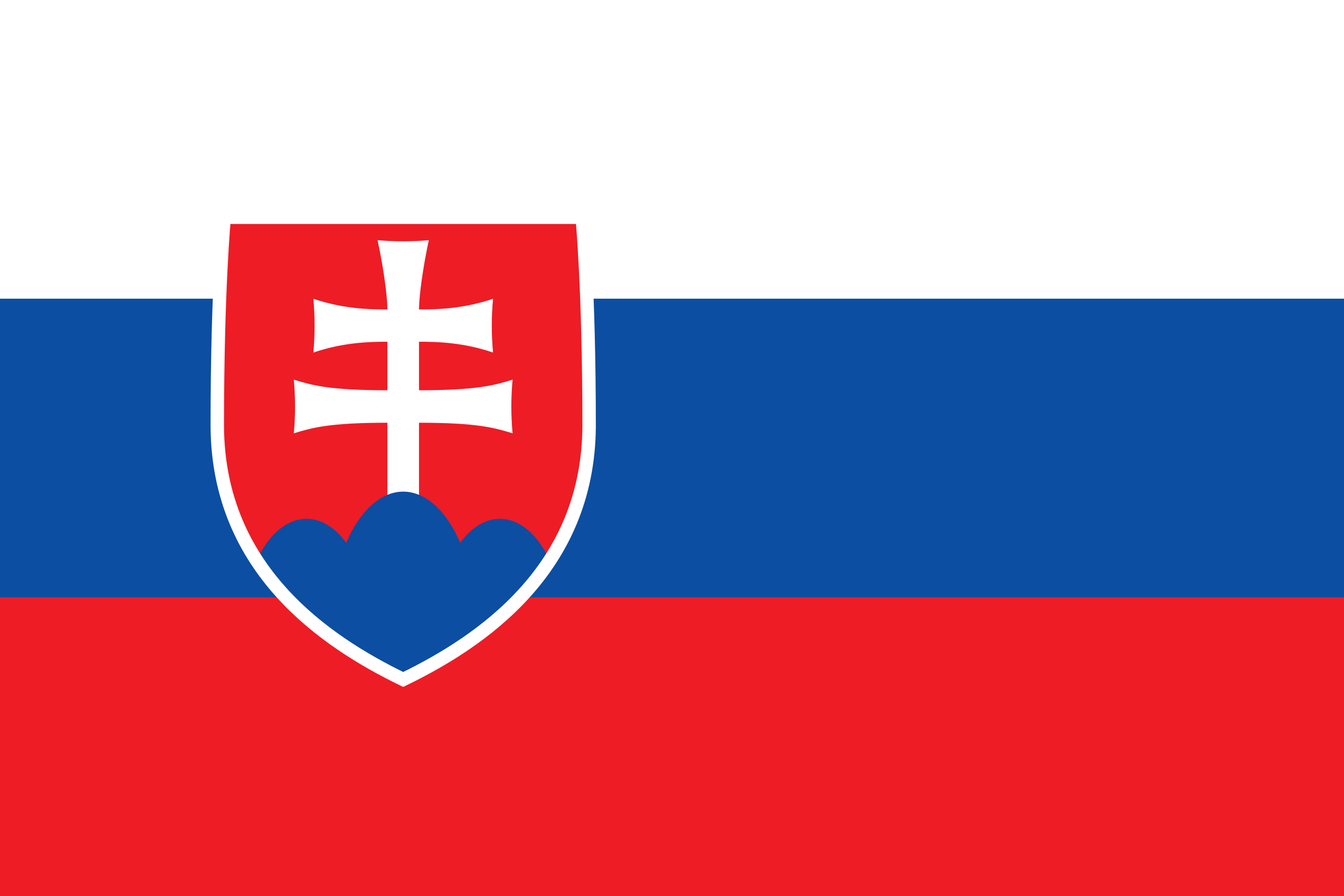 Slovakia 1 - Minifootball