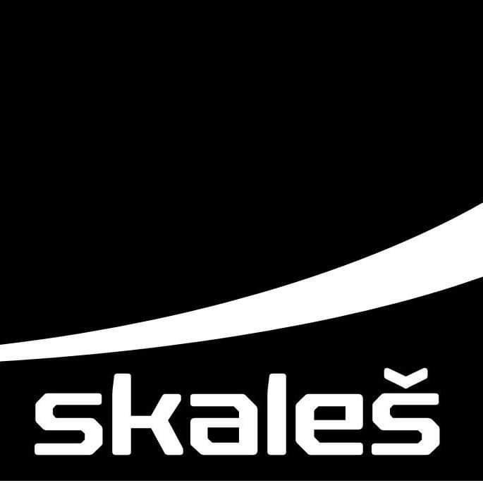 Skaleš Martin