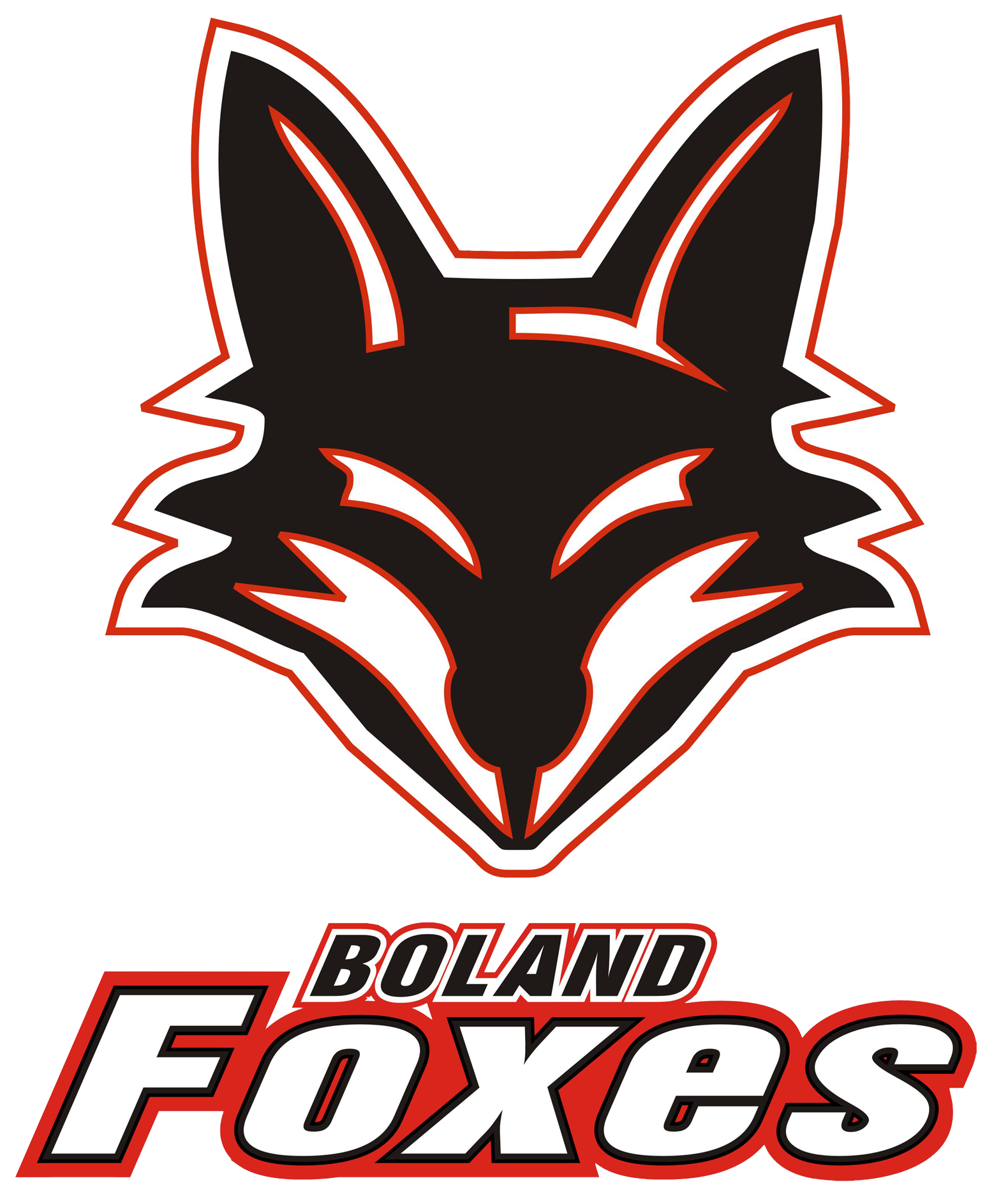 Boland Foxes (Grey) - U14