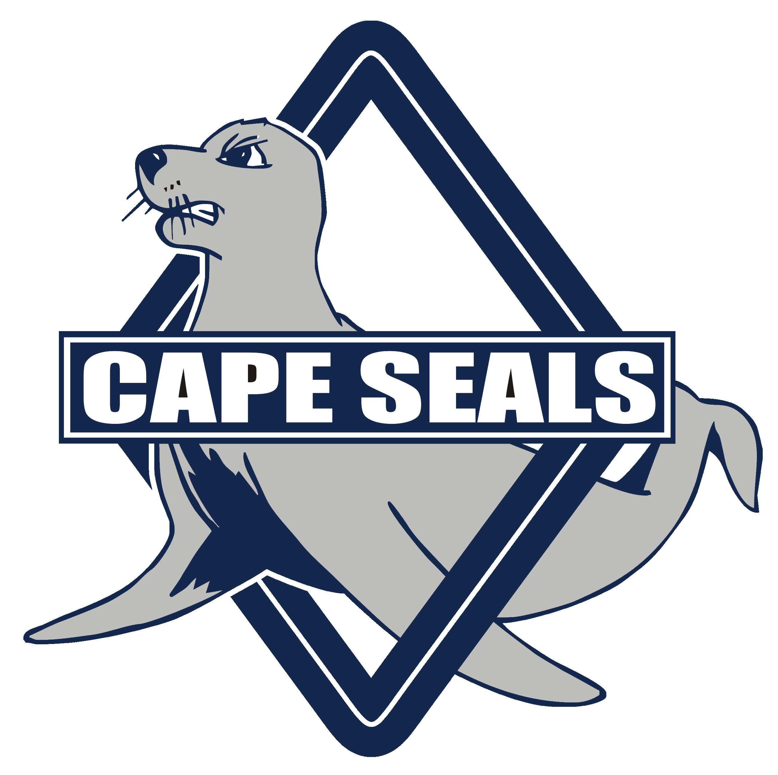 Cape Seals - U14