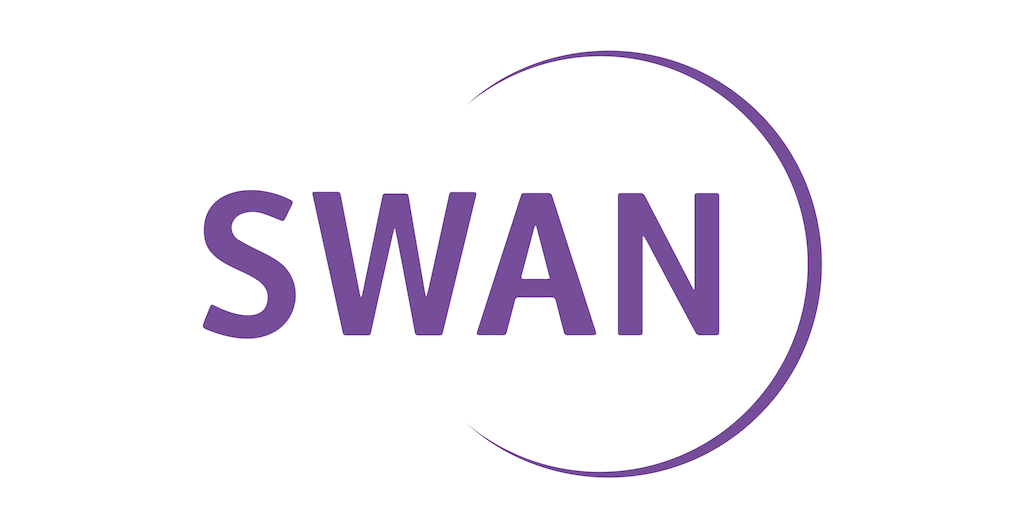 VIII. Liga SWAN